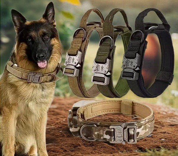Premium Heavy Duty Dog Collar Rugged, Durable K9 Collar with Reinforced Stitching and Metal Hardware